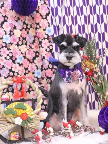 20250123ココくん